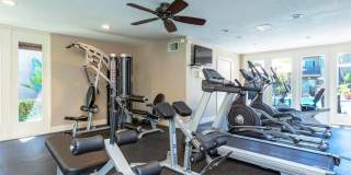 Elán Avante Apartment Homes Gallery 18