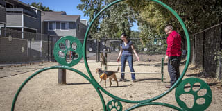 The Alexandar Gallery 25