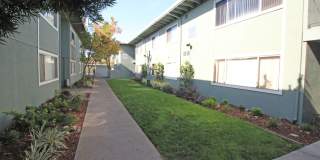 The Canopy Gallery 31