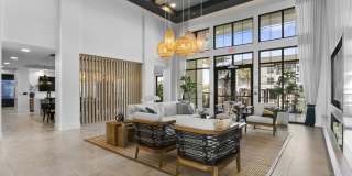 Arabelle Clearwater Gallery 5