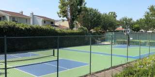 33055 Dolphin Court Gallery 6