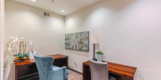 Vines at Turtle Creek Gallery 11