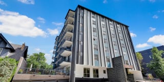 Liv on Steele Gallery 2