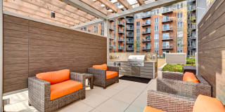 TGM Northshore Gallery 22