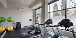 The Century Gallery 25