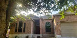 1938 Spotted Owl Gallery 1