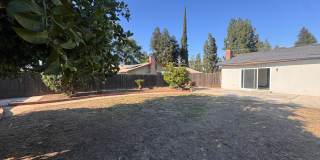 Charming 3 Bed/ 2 Bath Home in Clovis Gallery 36