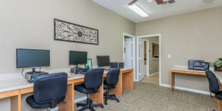 Southwest Pines Gallery 5