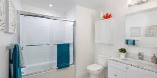 Spacious Brookline Apartment Gallery 6