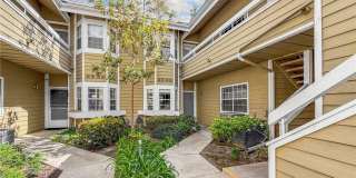 3740 S Bear Gallery 1