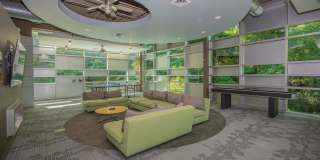 Bloom Gallery 2