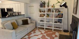 4789 White Rock Circle Gallery 1