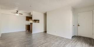 Rise Lakeside Gallery 68