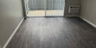 Garden View Gallery 5