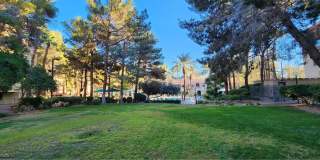 210 E Flamingo Road Gallery 51