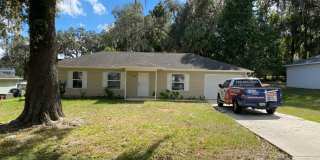 Cannot be shown until MAY!!!Great Home in quiet Belleview Neighborhood 3/2/1 - ***Won't Last*** Gallery 1