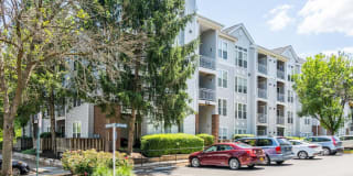 Regent's Park Gallery 33