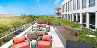 The Banks Gallery 32