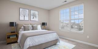 5151 Foxtail Pine Street Gallery 21