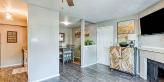 The Madrid Gallery 43