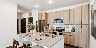 The Pullman Luxury Apartment Homes Gallery 8