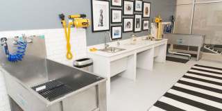 The Whit Gallery 57