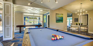 Canyon Grove Gallery 14