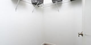 The Strand Gallery 53