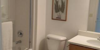 2725 Pond Dr Gallery 11