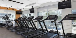 Avalon at Mission Bay Gallery 17