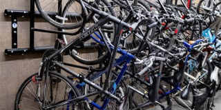 Aquatic Higby Gallery 28