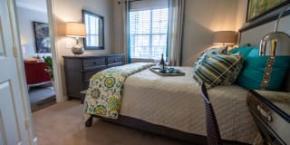 Paces Park Gallery 15