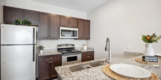 Pavilion Village Gallery 1