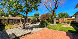 Charming Westwood Cottage in the Heart of Napa Gallery 21