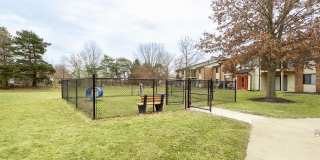 Harvest at Kokomo Gallery 12