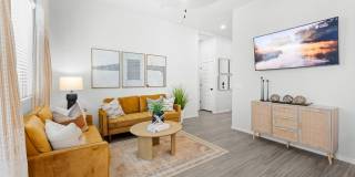 Canopy at Sundance Gallery 41