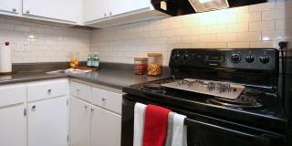 555 Mansell Gallery 1