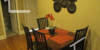 40 Egmont St #1A Brookline MA 02446 Gallery 4