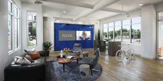 Nexa Gallery 3