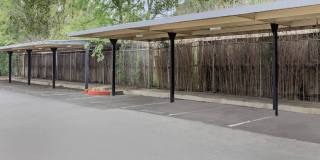 Ayla at Castle Hills Gallery 8