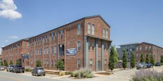 Thrive Argenta Gallery 8