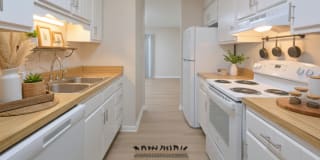 Collins Park Gallery 1