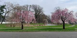 736-738 Eaton St Gallery 18