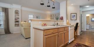 The Orchard Gallery 7