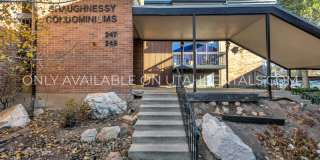 249 S 700 E Gallery 2