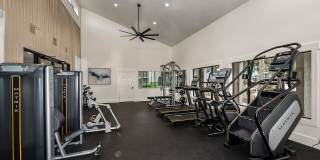 Cadia on the Loop Gallery 15