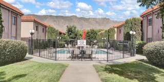 252 SHADOW MOUNTAIN Drive Gallery 40