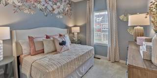 Summerhill Gallery 28