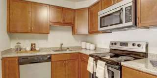 ReNew Waltham Gallery 7