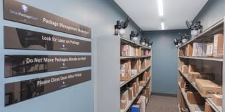 Town Walk at Hamden Hills Gallery 41